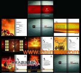 VIS品牌策劃與設計服務 從標志到畫冊、包裝的全面解決方案